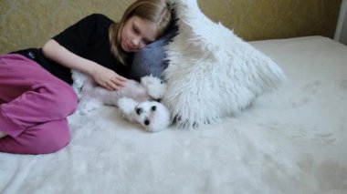 Kız yatakta uzanmış küçük bir köpeği okşuyor. Küçük dostum. Arkadaşlık. Yüksek kalite 4k görüntü