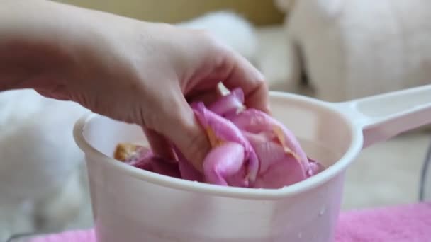 여인들의 손바닥 장미꽃 손가락으로 닿는다 고품질 — 비디오