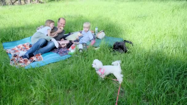 Vader Met Dochter Zoon Kleine Hond Liggen Een Picknick Het — Stockvideo