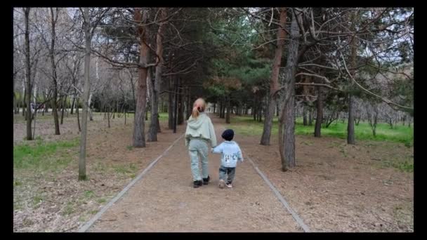 Niño Hermana Mayor Están Caminando Por Camino Parque Tomados Mano — Vídeos de Stock