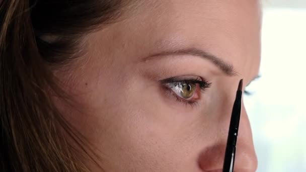 Jovem Mulher Bonita Faz Maquiagem Close Imagens Alta Qualidade — Vídeo de Stock