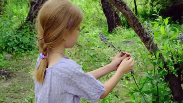 悲しみの少女は森の真ん中で彼女に摘まれた花を見ている 高品質4K映像 — ストック動画
