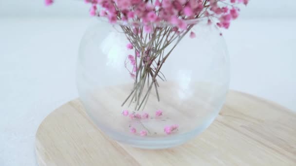 Růžové Gypsophila Květiny Stojí Kulaté Váze Detailní Záběr Kvalitní Fotografie — Stock video
