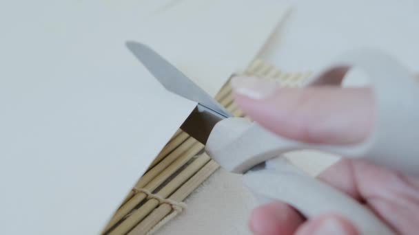 Ręka Kobiety Ostrożnie Tnie Biały Papier Nożyczkami Wysokiej Jakości Materiał — Wideo stockowe