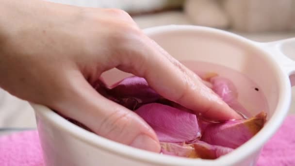 バラの花びらの風呂の背景に優雅な指のクローズアップ 高品質4K映像 — ストック動画
