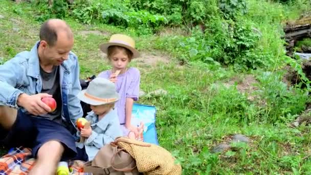爸爸和他的女儿和小儿子正在大自然中野餐 高质量的4K镜头 — 图库视频影像