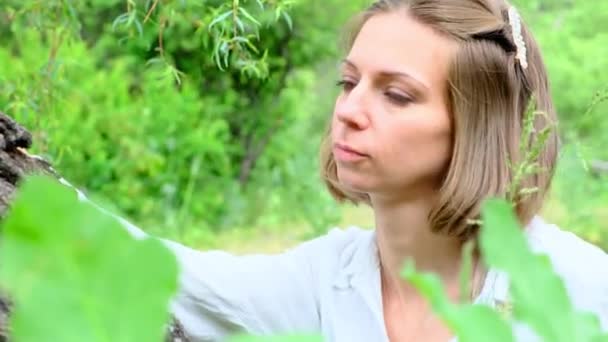 Женщина Средних Лет Загадочным Взглядом Смотрит Дерева Высококачественные Кадры — стоковое видео