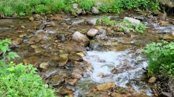 Vista Río Limpio Montaña Que Desciende Tranquilamente Imágenes Alta Calidad — Vídeos de Stock