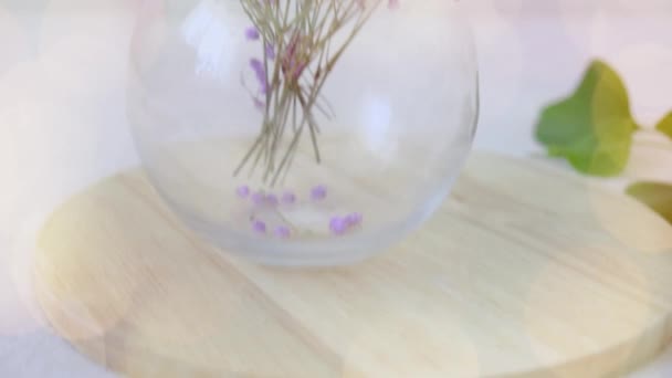 Крупним Планом Фіолетова Гіпсофіла Високоякісні Кадри — стокове відео