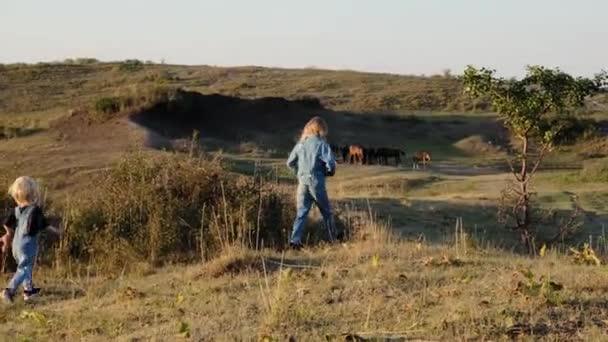 フィールドを横切って走る少女と少年 背景に馬がいる 高品質の4K映像 — ストック動画