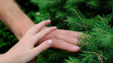 Aile kavramı. Eller birbirine kenetlensin. Yüksek kalite 4k görüntü