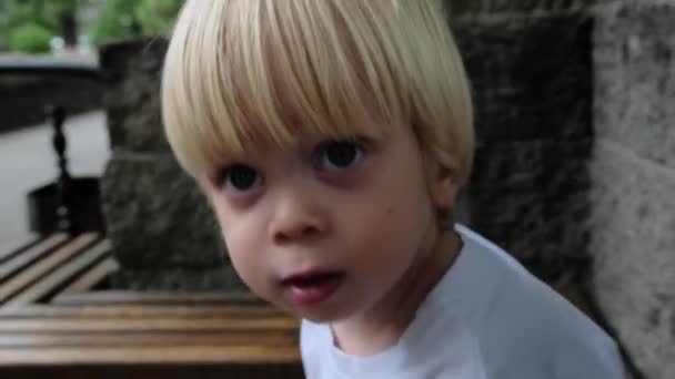 Mały Chłopiec Klaszczący Dłonie Uśmiechający Się Ławce Parku Wysokiej Jakości — Wideo stockowe