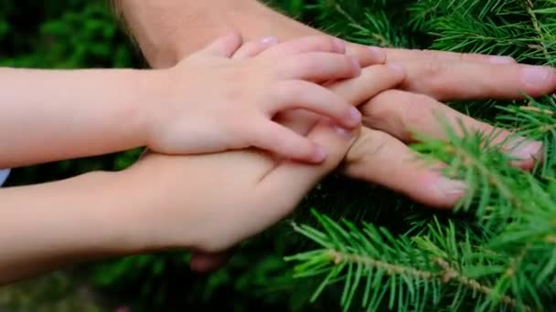 Conceito Familiar Close Mãos Apertadas Juntas Imagens Alta Qualidade — Vídeo de Stock
