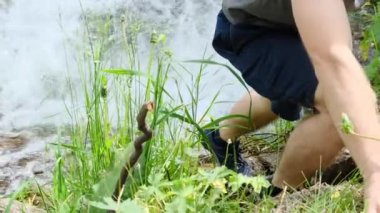 Bir adam ormanda bir nehri geçer. Yüksek kalite 4k görüntü