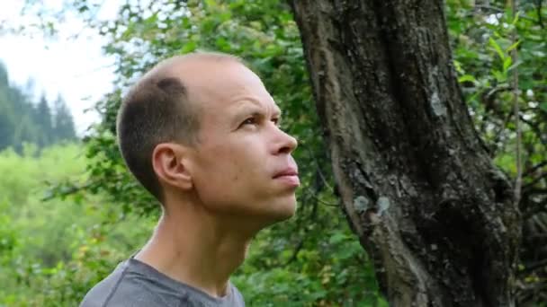 Homem Caminha Pela Floresta Olhando Para Céu Imagens Alta Qualidade — Vídeo de Stock