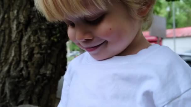 Mały Chłopiec Patrzący Kamerę Uśmiechający Się Tle Miasta Wysokiej Jakości — Wideo stockowe