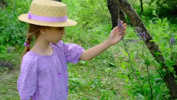 Nine Year Old Girl Straw Hat Touches Flowers High Quality — Stock Video