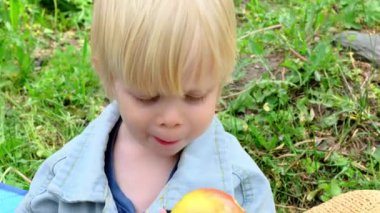 Bir çocuk bir elma yer. Piknik. Yüksek kalite 4k görüntü
