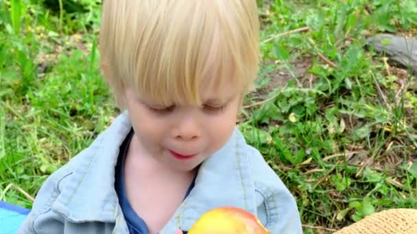 Ein Junge Isst Einen Apfel Picknick Hochwertiges Filmmaterial — Stockvideo