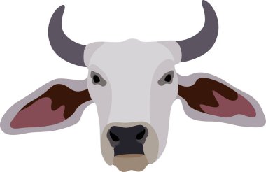 Zebu boğası. Brahman sığırları. Vektör çizimi. Beyaz erkek Hintli inek. Hint dini festivallerinin sembolü.