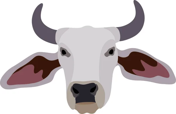 Zebu公牛 婆罗门牛 矢量图解 白色雄性印第安人奶牛 印度宗教节日的象征 — 图库矢量图片
