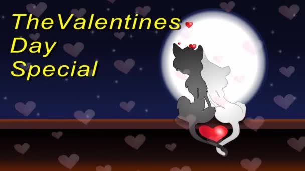 Love You Valentine Day — Video Stock