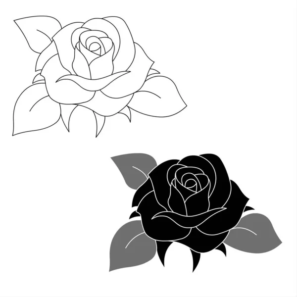 Black and white roses isolated on a white background - Vector illustration.