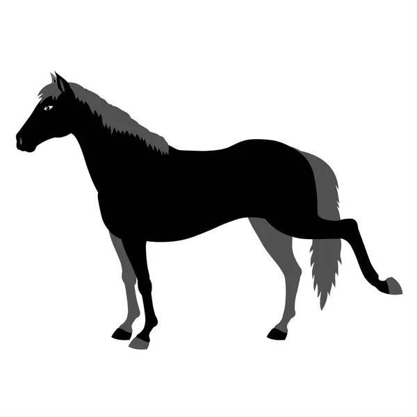 Kůň Silueta Bílém Pozadí Vektorová Ilustrace Koně — Stock fotografie