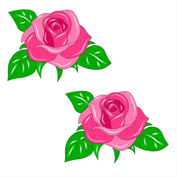 Pink Rose Green Leaves White Background Vector Illustration — Stock Photo, Image
