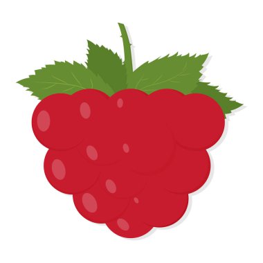 Kırmızı Ahududu yaprakları ile