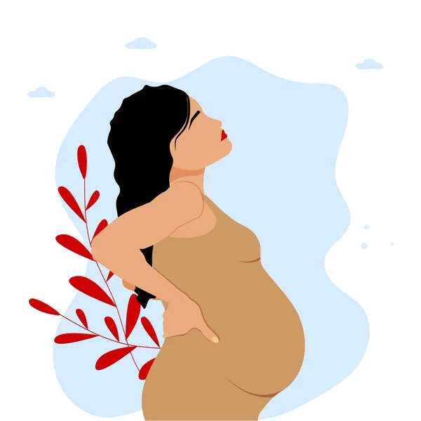 Schwangere Vektorillustration — Stockvektor