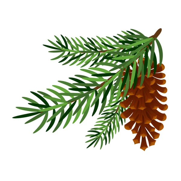Branch Pine Fir Fir Cone White Background Winter Decor Elements — Stock Vector