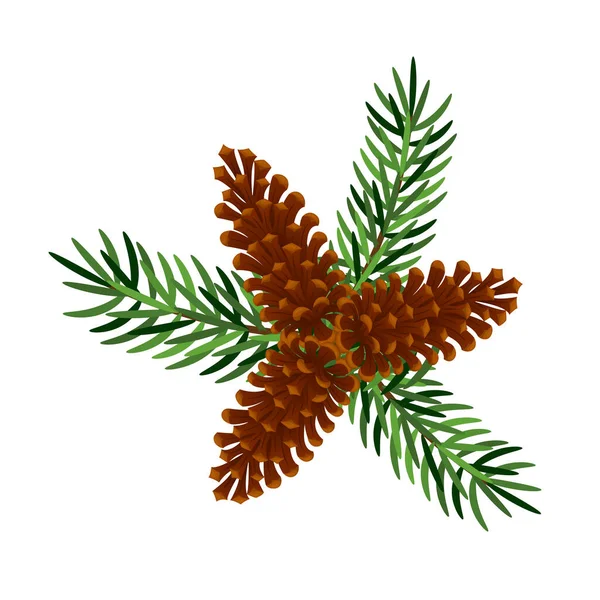 白い背景にモミのコーンと松やモミの枝 冬の装飾 新年のデザインの要素 ベクターイラスト — ストックベクタ