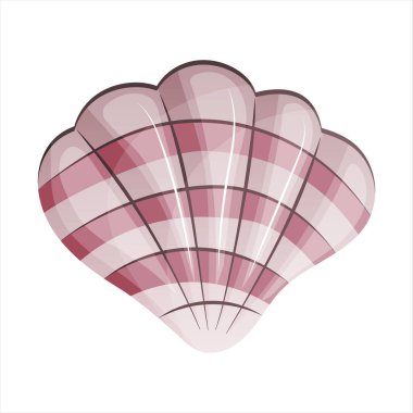 Güzel deniz kabuğu malusku. Nehir kabuğu vantilatöre benziyor. Düz vektör çizimi beyaz arkaplanda izole edildi.