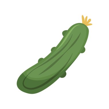 Yeşil taze salatalık. Çiftlik sebzeleri. Düz vektör çizimi beyaz arkaplanda izole edildi.