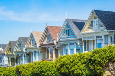 Boyalı Kadınlar, San Francisco 'nun en ünlü yaşlı hanımları.