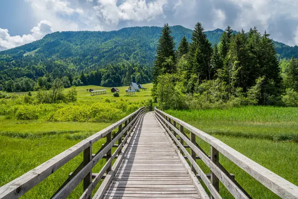 Kranjska Gora ve Zelenci 'nin doğal rezervi üzerine harika Slovenya