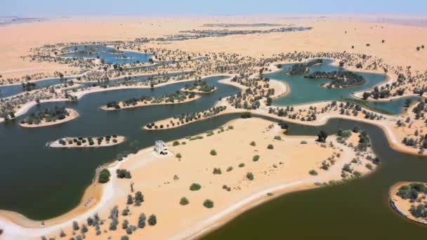 Qudra的迪拜湖空中景观 迪拜的主要旅游胜地之一Al Qudra湖附近的一个新的旅游胜地 — 图库视频影像