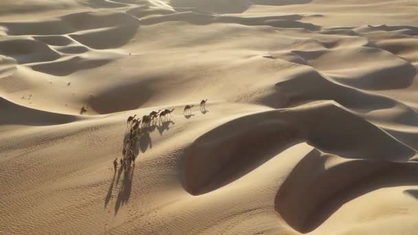 骆驼车队穿过干红的瓦迪拉姆沙漠 背景是蓝天和多石的山丘 骑骆驼的人有两个跟随者 形成骆驼火车 — 图库视频影像