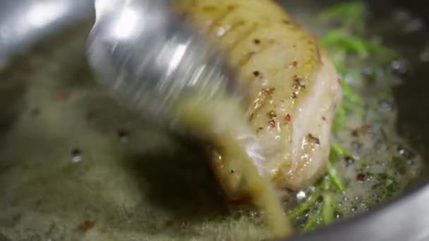 Обсмажити Рибу Сковороді — стокове відео