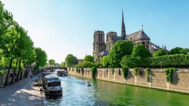 Notri Dame Paris Seine River Bateaux Mouches Paris France — Stock video