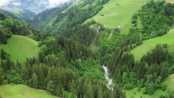 Aerial Fly Alpine Mountains Pine Tree Forest — Video Stock