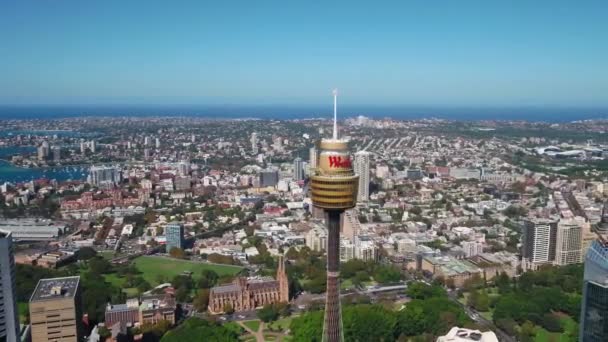 Footage Sydney Tower Day Time — Vídeo de Stock