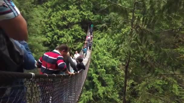 カナダのバンクーバー森林のリン キャニオン サスペンション橋を歩く人々 — ストック動画