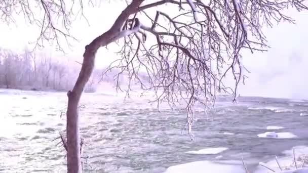 Winter Footage Frozen Niagara Falls Ontario Canada — стоковое видео