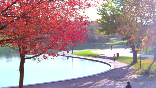 カナダのモントリオール湖には赤い木と公園があります Uhd映像 — ストック動画