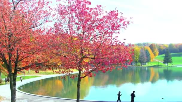 People Running Montreal Park Lake Spring Season Red Trees Spring — 图库视频影像