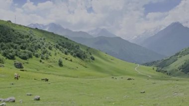 Dağlar arasındaki güzel tropikal vadilerin hava aracı hiperlapse zamanlaması. Yükselen güneşin ilk ışınları bulutları ve bulutları delip geçer. Gün batımının son ışınları ağaca vurdu..