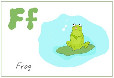 Ağ içinde bir kurbağa şeklinde İngiliz kayın ağacı.