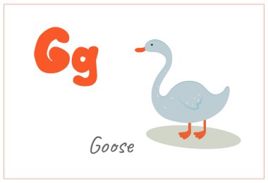 Gri kaz harfi. İngiliz alfabesi için G harfi.